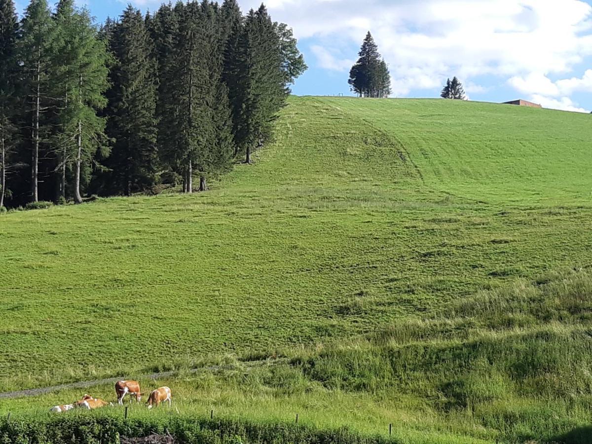 Gasthof Klug Zum Ehrensepp Modriach Buitenkant foto